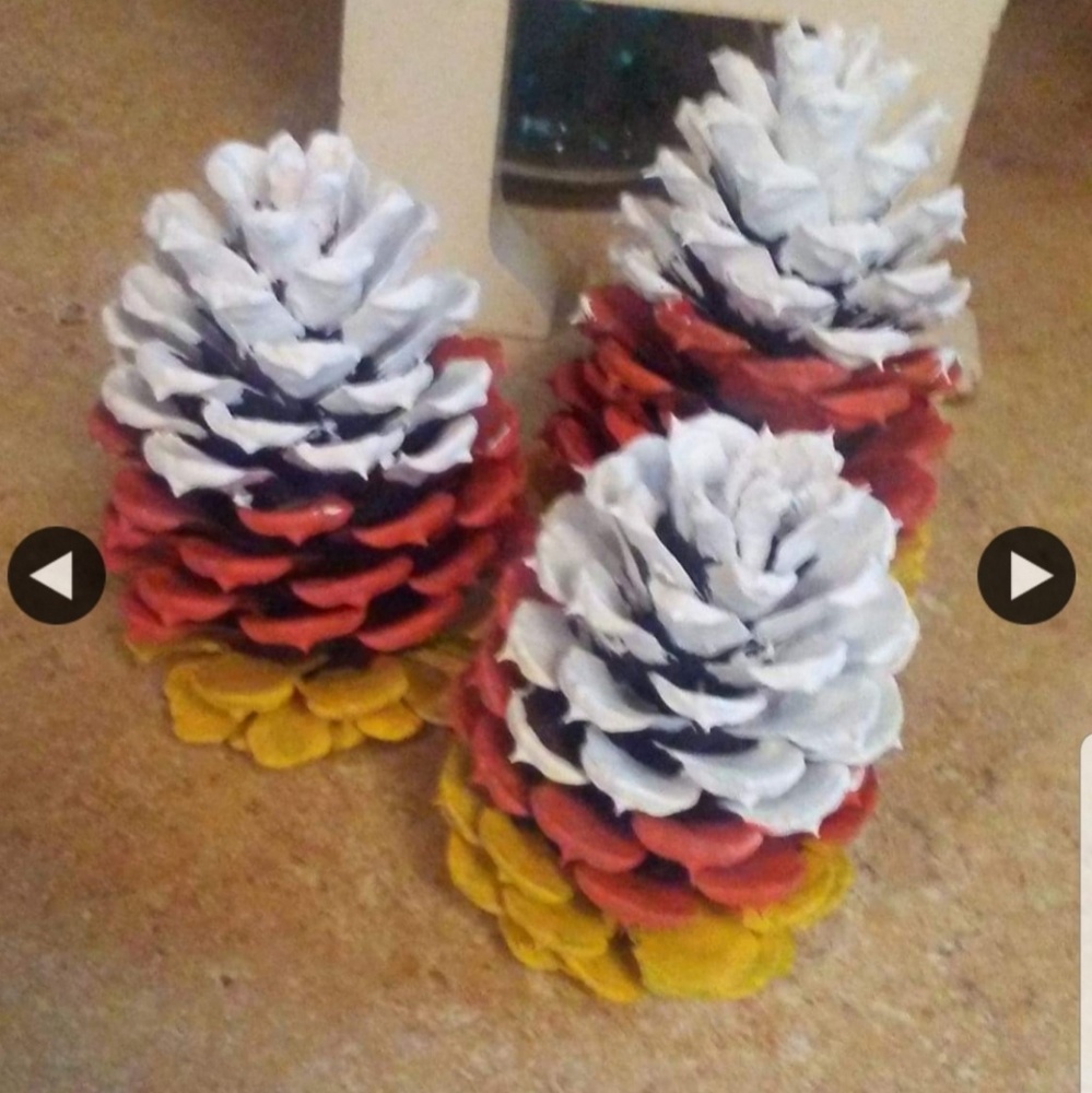 Hand painted pinecones - Picture 3 of 5